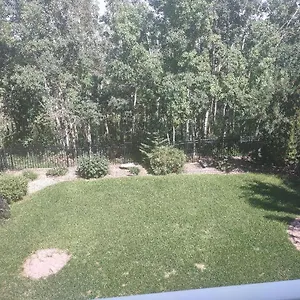 Spacious One Bedroom Walkout Basement , Calgary Canada
